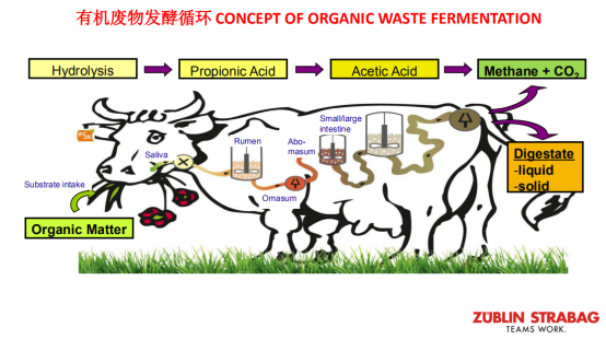 1561705213944659.png image.png