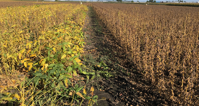 1610351205625986.png 2.png